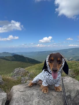 車山高原SKYPARK RESORTに投稿された画像（2025/8/31）