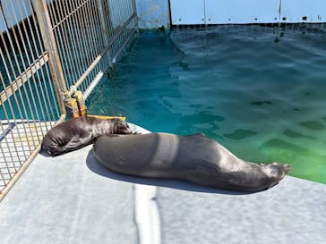 南知多ビーチランド＆南知多おもちゃ王国に投稿された画像（2025/8/31）