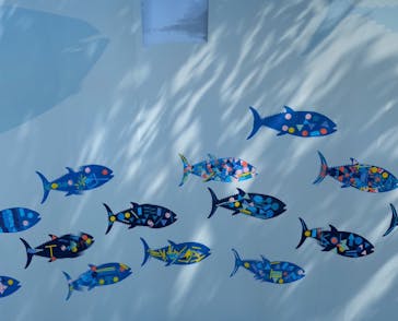 葛西臨海水族園に投稿された画像（2025/8/31）