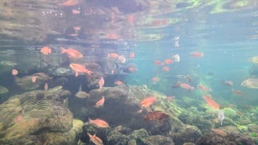 葛西臨海水族園に投稿された画像（2025/8/31）