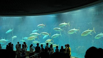 葛西臨海水族園に投稿された画像（2025/8/31）