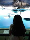 名古屋港水族館に投稿された画像（2025/8/31）