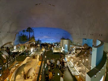 福井県立恐竜博物館に投稿された画像（2025/8/31）