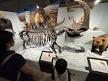 特別展「氷河期展 〜人類が見た4万年前の世界〜」（国立科学博物館）に投稿された画像（2025/8/31）