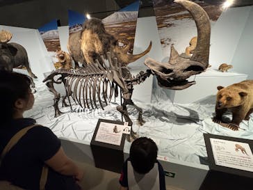 特別展「氷河期展 〜人類が見た4万年前の世界〜」（国立科学博物館）に投稿された画像（2025/8/31）