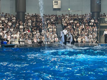 マクセル アクアパーク品川に投稿された画像（2025/8/31）