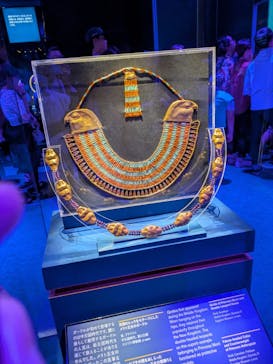 ACN ラムセス大王展 ファラオたちの黄金に投稿された画像（2025/8/31）