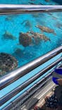 沖縄美ら海水族館に投稿された画像（2025/8/31）