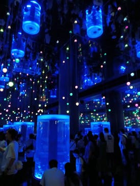 マクセル アクアパーク品川に投稿された画像（2025/8/31）