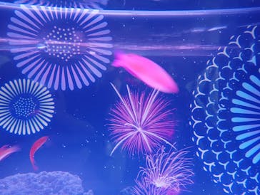 マクセル アクアパーク品川に投稿された画像（2025/8/31）