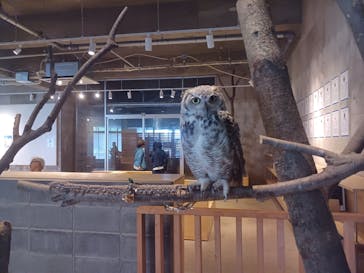 霞ケ浦 どうぶつとみんなのいえに投稿された画像（2025/8/31）