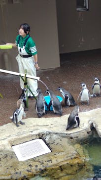 アクアワールド茨城県大洗水族館に投稿された画像（2025/8/31）