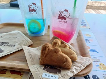 大分マリーンパレス水族館 「うみたまご」に投稿された画像（2025/8/31）