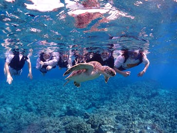 calm石垣島に投稿された画像（2025/8/31）