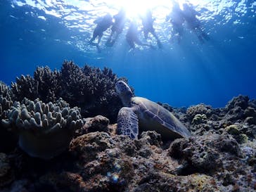 calm石垣島に投稿された画像（2025/8/31）