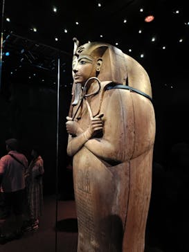 ACN ラムセス大王展 ファラオたちの黄金に投稿された画像（2025/8/31）