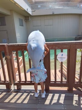 新江ノ島水族館に投稿された画像（2025/8/31）