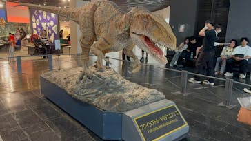 福井県立恐竜博物館に投稿された画像（2025/8/31）