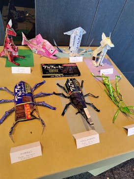 パッケージクラフト展　つくってびっくり★へんしんパッケージに投稿された画像（2025/8/31）