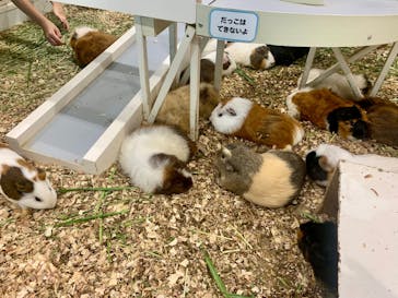 アニタッチみなとみらいに投稿された画像（2025/8/31）