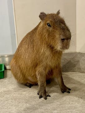 アニタッチみなとみらいに投稿された画像（2025/8/31）