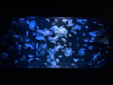 AOAO SAPPOROに投稿された画像（2025/8/31）