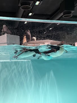 AOAO SAPPOROに投稿された画像（2025/8/31）