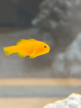 AOAO SAPPOROに投稿された画像（2025/8/31）