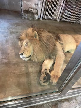 天王寺動物園に投稿された画像（2025/8/31）