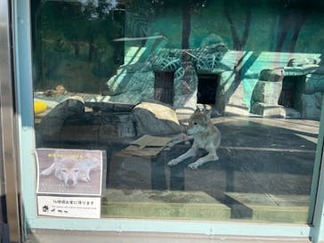 天王寺動物園に投稿された画像（2025/8/31）