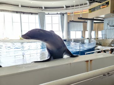 アクアワールド茨城県大洗水族館に投稿された画像（2025/8/31）