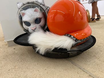 ハイパーミュージアム飯能に投稿された画像（2025/8/31）