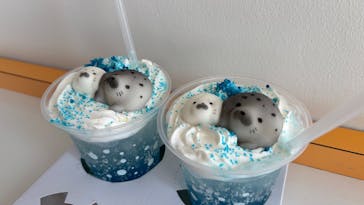 新江ノ島水族館に投稿された画像（2025/8/31）