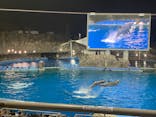 名古屋港水族館に投稿された画像（2025/8/31）