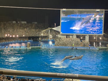 名古屋港水族館に投稿された画像（2025/8/31）