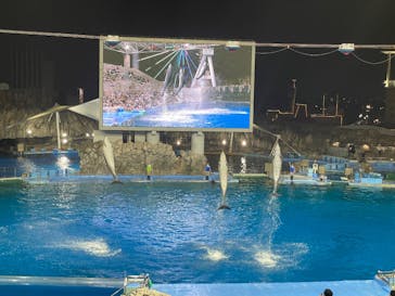 名古屋港水族館に投稿された画像（2025/8/31）