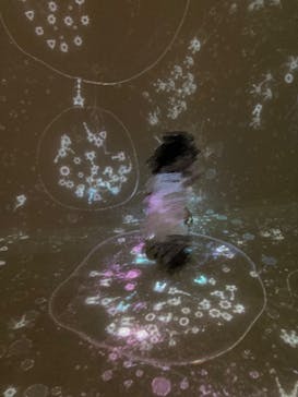 魔法の美術館 2025 光と遊ぶ超体験型ミュージアム ~この夏、美術館が魔法にかけられる~に投稿された画像（2025/8/31）