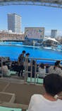 名古屋港水族館に投稿された画像（2025/8/31）