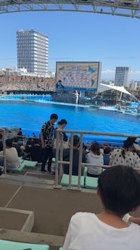 名古屋港水族館に投稿された画像（2025/8/31）