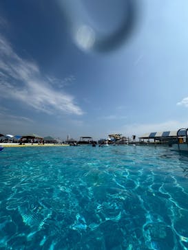 蓮沼ウォーターガーデンに投稿された画像（2025/8/31）