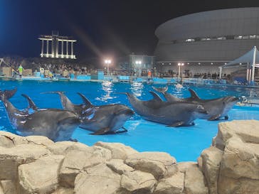 名古屋港水族館に投稿された画像（2025/8/31）