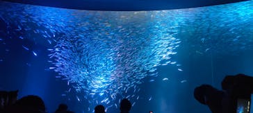 名古屋港水族館に投稿された画像（2025/8/31）