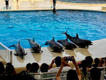 マリンワールド海の中道に投稿された画像（2025/8/31）