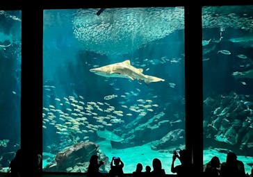 マリンワールド海の中道に投稿された画像（2025/8/31）