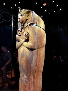 ACN ラムセス大王展 ファラオたちの黄金に投稿された画像（2025/8/31）