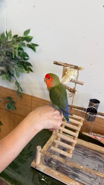 Moff animal world BIGHOPガーデンモール印西店に投稿された画像（2025/8/31）