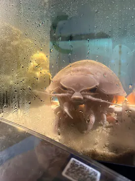 仙台うみの杜水族館に投稿された画像（2025/8/31）
