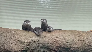 仙台うみの杜水族館に投稿された画像（2025/8/31）