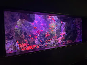 仙台うみの杜水族館に投稿された画像（2025/8/31）