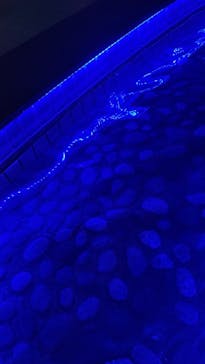 横浜みなとみらい 万葉倶楽部に投稿された画像（2025/8/31）